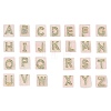 Natural Rose Quartz Pendants G-P585-05G-02-1