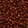 TOHO 6/0 Round Beads X-SEED-TR06-0046L-4