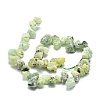 Raw Rough Natural Prehnite Beads Strands G-E576-28-2