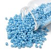 6/0 Glass Seed Beads X1-SEED-A011-4mm-143-1
