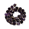 Natural Amethyst Beads Strands G-P568-B01-01-3
