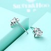 Exquisite 925 Sterling Silver Cubic Zirconia Stud Earrings EJEW-BB20071-6