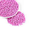 Baking Paint Pearlized Glass Seed Beads SEED-T007-21A-06-3