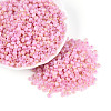 6/0 Glass Seed Beads SEED-N008-07H-1