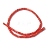 Natural Freshwater Shell Beads Strands SSHEL-C013-08A-2