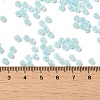 Glass Seed Beads X1-SEED-H002-H-1304-4