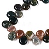 Natural Indian Agate Beads Strands G-T138-113-3