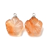 Natural Carnelian Pendants GG-CBA487A-01P-02-1