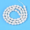 Natural Cultured Freshwater Pearl Beads Strands PEAR-T006-19A-3