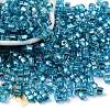 Glass Seed Beads SEED-M011-01A-14-1