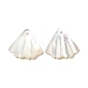 Natural White Shell Charms SSHEL-M022-08-1