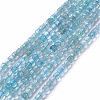 Natural Apatite Beads Strands X-G-G991-C03-1