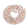 Electroplate Transparent Glass Beads Strands GL-N002-01A-A06-2
