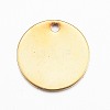 304 Stainless Steel Charms STAS-G137-09G-2