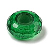 Glass European Beads LS-GLAA-XCP0001-43E-1