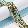 Natural HuBei Turquoise Round Beads Strands G-A025-03C-2