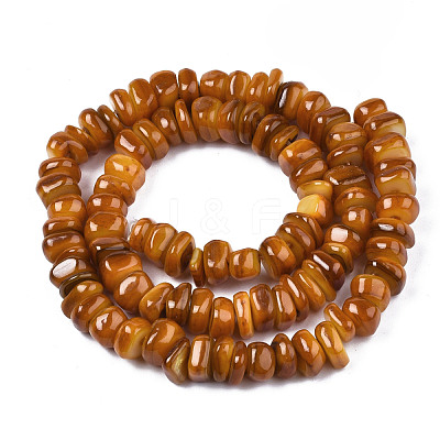 Natural Trochid Shell/Trochus Shell Beads Strands SHEL-S258-081-B09-1