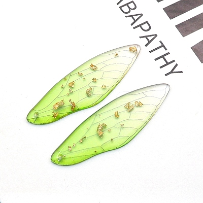 Transparent Resin Big Pendants RESI-TAC0005-022A-14-1