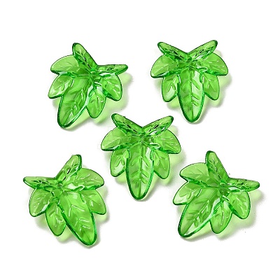 Transparent Acrylic Pendant OACR-E039-69D-1