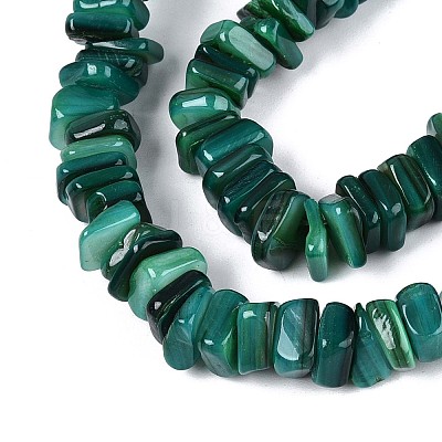 Natural Freshwater Shell Beads Strands SHEL-T020-41-1