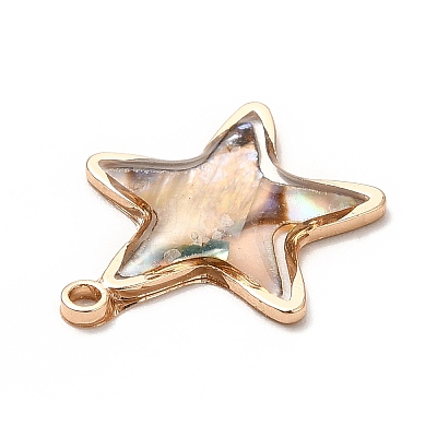 Brass Enamel Pendants KK-K252-10G-09-1