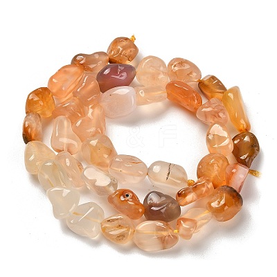 Natural Carnelian(Dyed & Heated) Beads Strands G-P497-01C-69-1