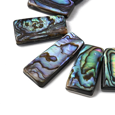Natural Paua Shell Beads Strands BSHE-S305-01A-1