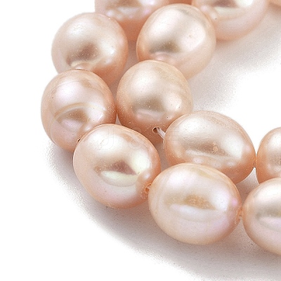 Natural Cultured Freshwater Pearl Beads Strands PEAR-P062-13D-1