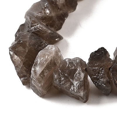 Natural Smoky Quartz Beads Strands G-I283-F13-1