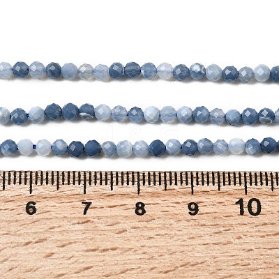 Natural Blue Opal Beads Strands G-P603-C-3mm-04-1