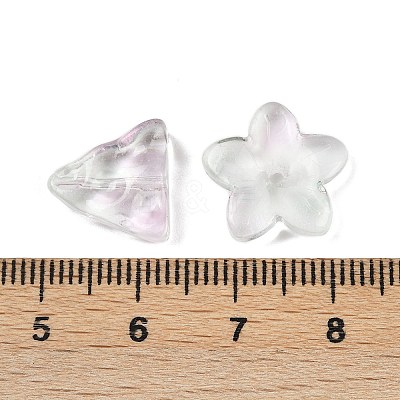 Gradient Color Transparent Glass Beads GLAA-B026-01G-1
