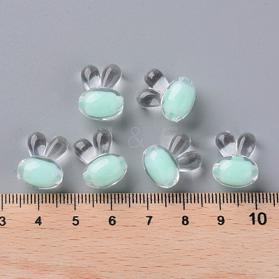 Transparent Acrylic Beads TACR-S152-05A-SS2111-1