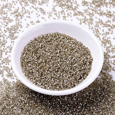 MIYUKI Delica Beads SEED-X0054-DB1862-1