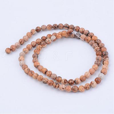 Natural Picture Jasper Beads Strands G-Q462-8mm-35-1