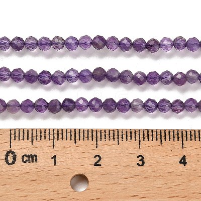 Natural Amethyst Beads Strands G-K373-B03-03-1