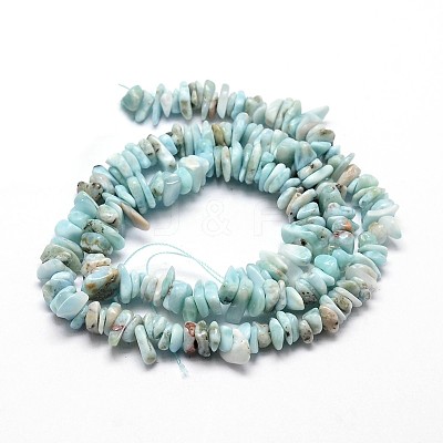 Natural Larimar Chip Beads Strands X-G-E271-77-1