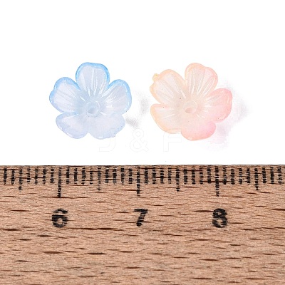 Transparent Plastic Bead Caps KY-Q005-02A-M01-1