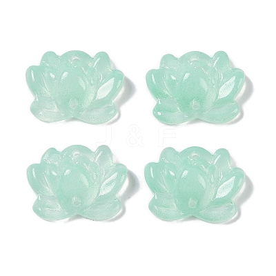 Baking Paint Glass Beads X-GLAA-S202-13G-1