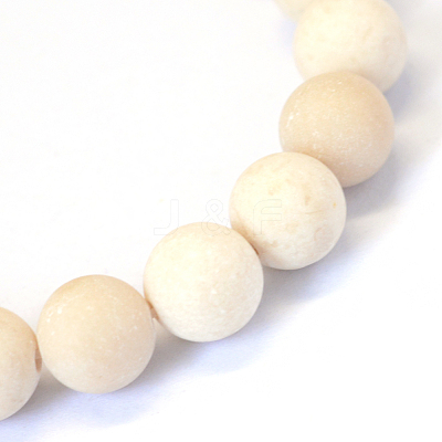Frosted Natural Fossil Round Bead Strands G-E334-10mm-22-1