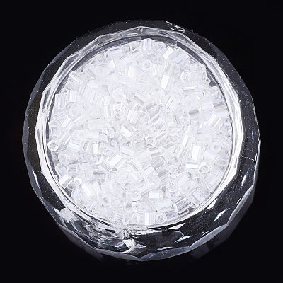 Two Cut Glass Seed Beads SEED-S018-11B-1