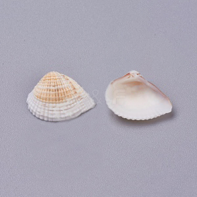 Natural Shell Beads SSHEL-WH0004-01-1