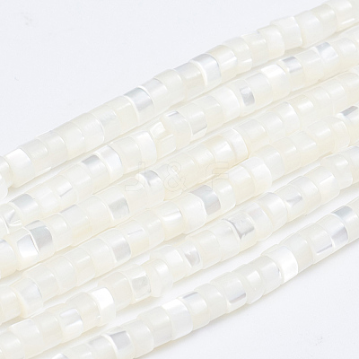Natural Trochid Shell/Trochus Shell Beads Strands X-SSHEL-L016-13A-1
