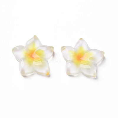Transparent Epoxy Resin Cabochons X-CRES-S365-23A-1