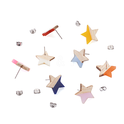 10 Pair 10 Color Transparent Resin & Wood Stud Earring Findings DIY-FW0001-09-1