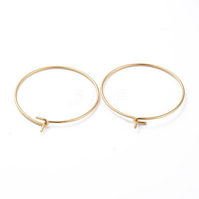 316 Surgical Stainless Steel Hoop Earring Findings LS-X-STAS-J025-01C-G-1