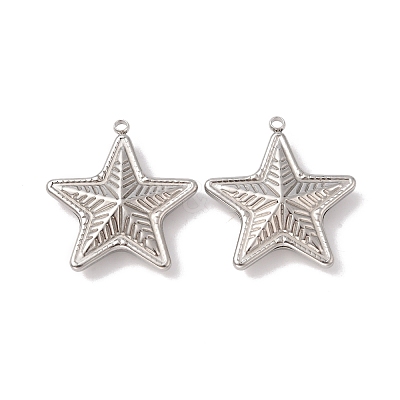 Non-Tarnish 304 Stainless Steel Pendants STAS-C073-03P-1