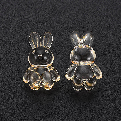 Transparent Acrylic Beads LS-MACR-S373-81-B04-1