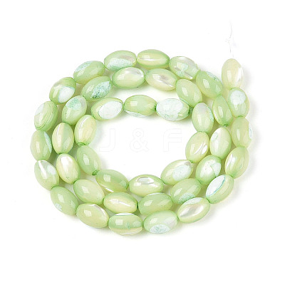 Natural Trochus Shell Beads Strands SHEL-K006-19-01C-1