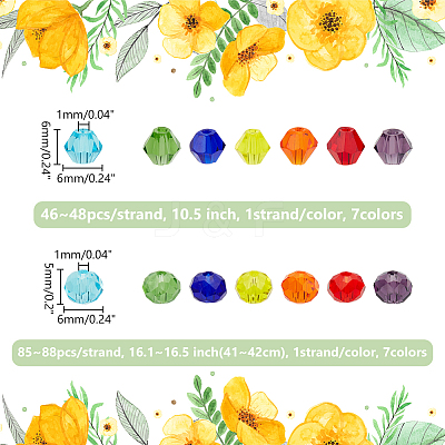14 Strands 14 Style Imitate Austrian Crystal Bicone Glass Beads Strands GLAA-WR0001-01-1