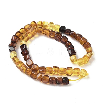Natural Amber Beads Strands G-L095-E01-02-1